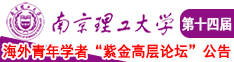尤物嫩草在线视频南京理工大学第十四届海外青年学者紫金论坛诚邀海内外英才！